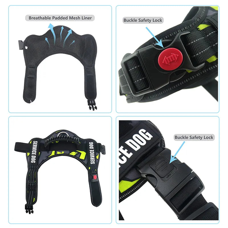 Personalised Dog harness.