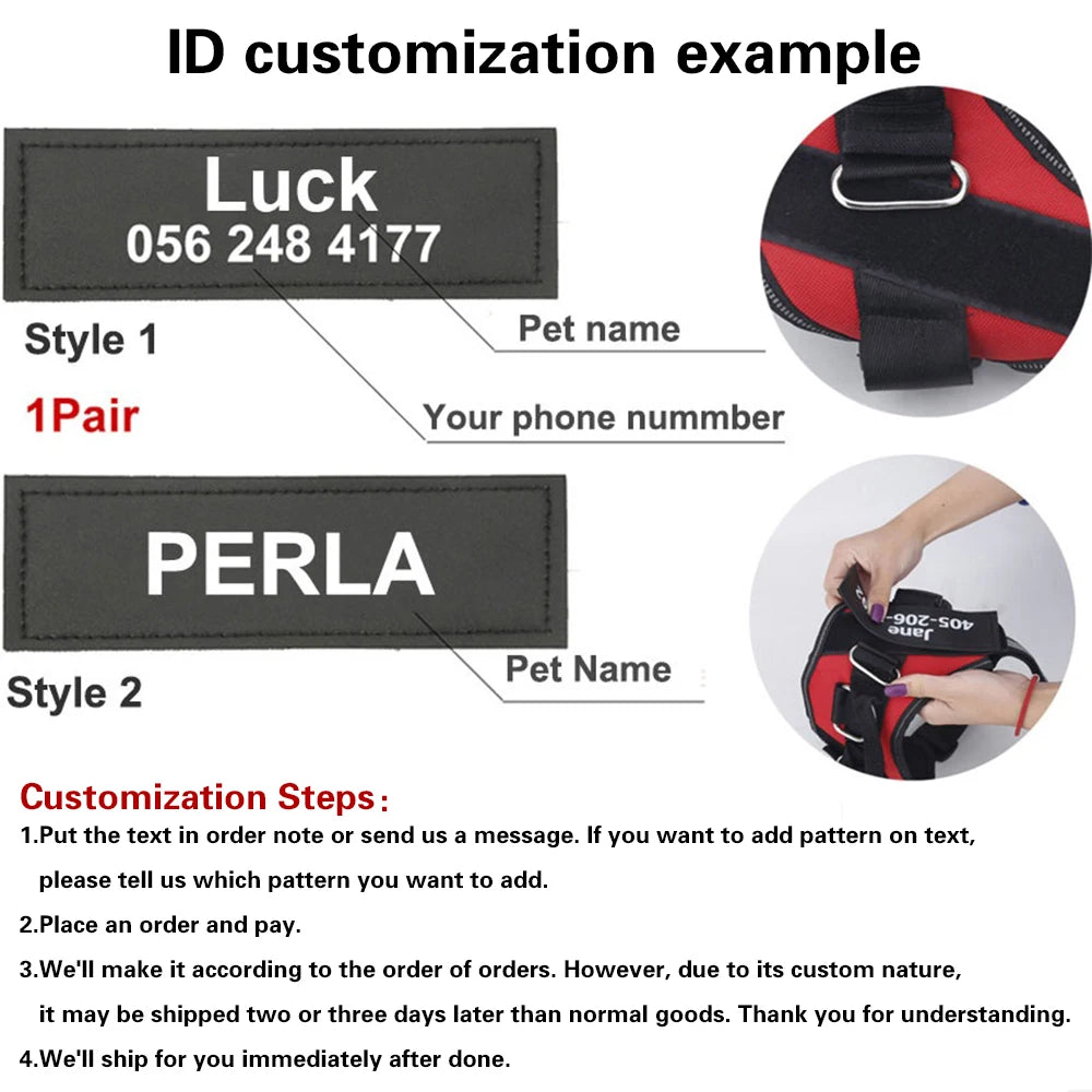 Personalised Dog harness.