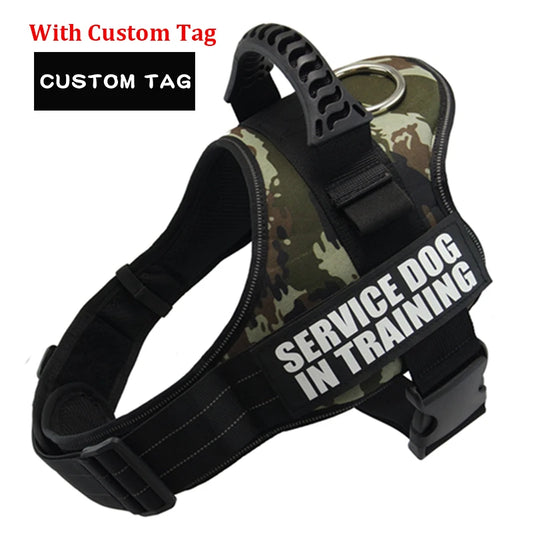 Personalised Dog harness.